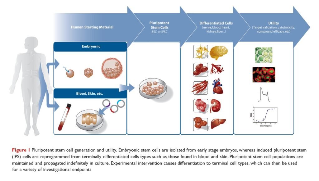 High-Tech or Frankenstein research?