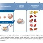 High-Tech or Frankenstein research?